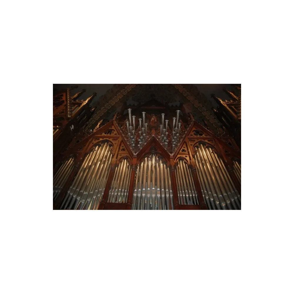 Notre Dame de Budapest Looped Edition