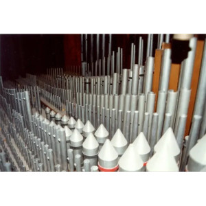 Notre Dame de Budapest Looped Edition