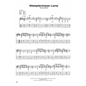 Steeplechase Lane
