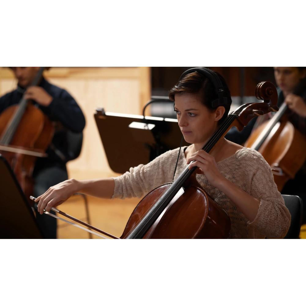 Synchron Prime Strings II