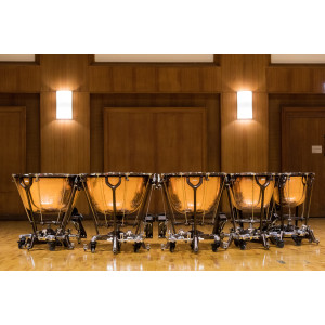 Synchron Prime Percussion