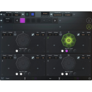 Chord Board Pro + Hand Board