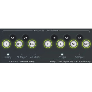 Chord Board Pro + Hand Board