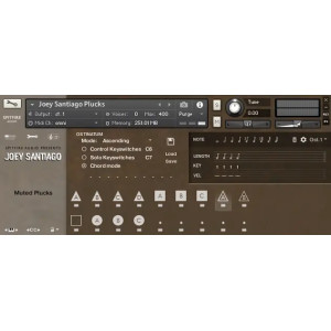 Joey Santiago Guitars