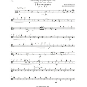 Lessons Learned from Kids - Viola