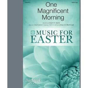 One Magnificent Morning