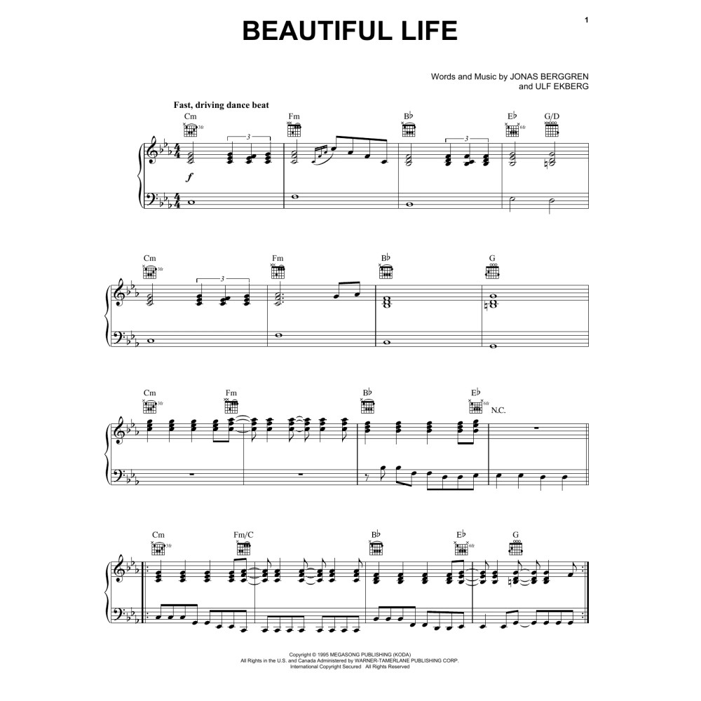 Beautiful Life