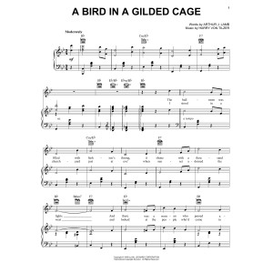 A Bird In A Gilded Cage