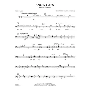 Snow Caps - String Bass