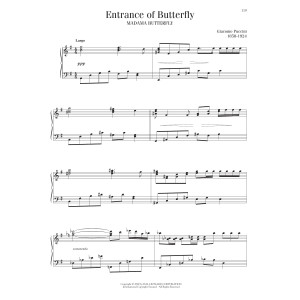 Entrance Of Butterfly
