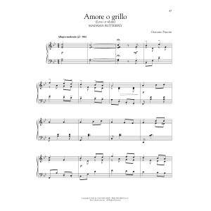 Amore O Grillo