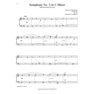 Symphony No. 5, Third Movement Excerpt