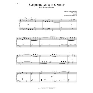 Symphony No. 5 In C Minor, First Movement Excerpt