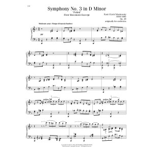 Symphony No. 3 In D Minor ("Polish"), Op. 29, First Movement Excerpt