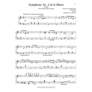 Symphony No. 3 In D Minor ("Polish"), Op. 29, First Movement Excerpt