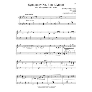 Symphony No. 5 In E Minor, Op. 64, Third Movement ("Waltz") Excerpt