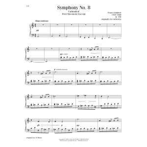 The Unfinished Symphony (Theme)