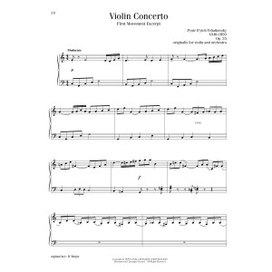 Violin Concerto in D Major, Op. 35, First Movement Excerpt