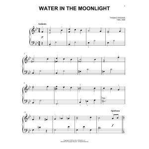 Water In The Moonlight