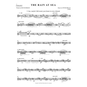 The Rain at Sea - Violoncello