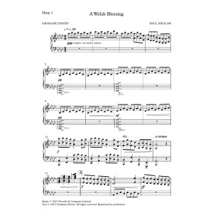 A Welsh Blessing - Harp 1