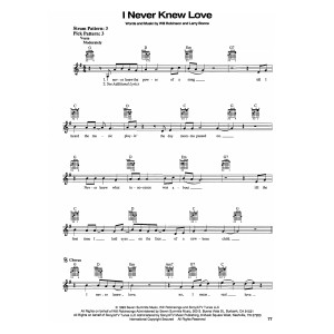 I Never Knew Love