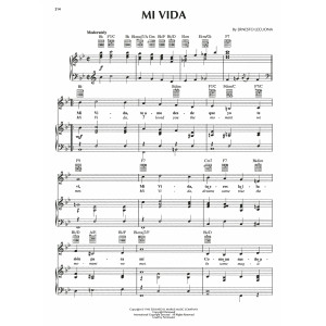 Mi Vida