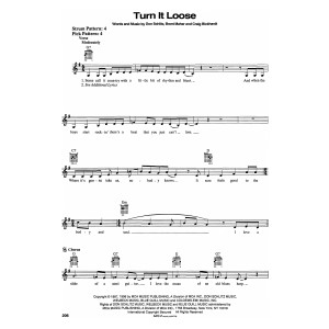 Turn It Loose
