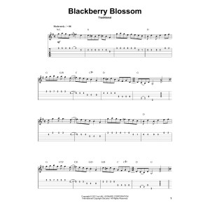 Blackberry Blossom