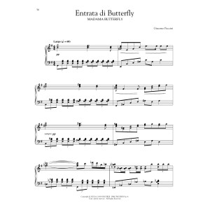 Entrance Of Butterfly