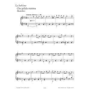 Che gelida manina (from La Bohème)