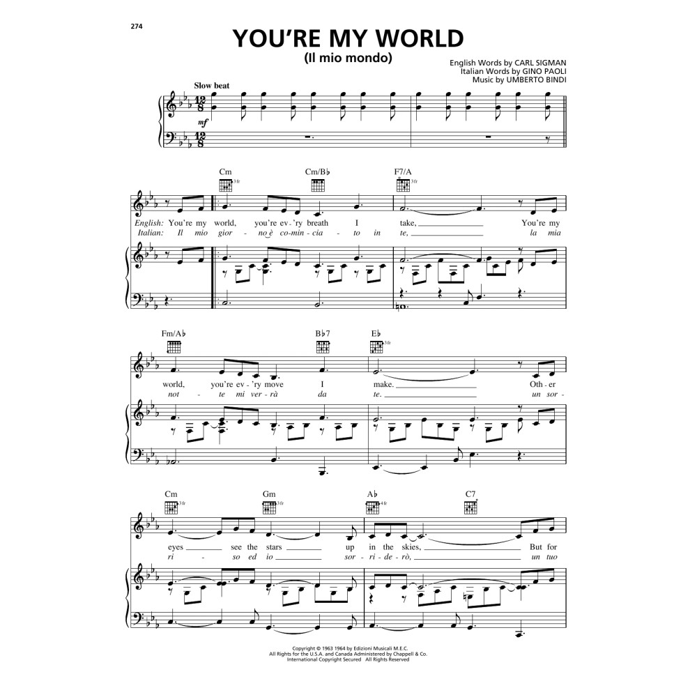 You're My World (Il Mio Mondo)