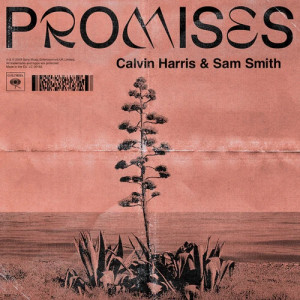 Promises (feat. Sam Smith)