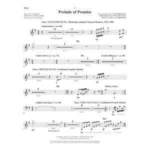 The Star Arising (A Cantata For Christmas) - Harp
