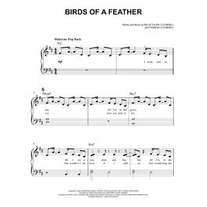 BIRDS OF A FEATHER