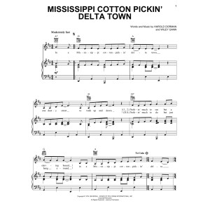 Mississippi Cotton Pickin' Delta Town