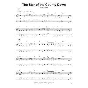 The Star Of The County Down