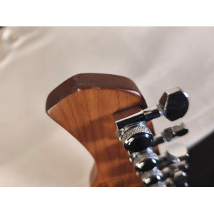 Larry Carlton S7 VINTAGE BK