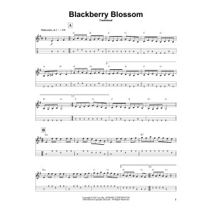 Blackberry Blossom
