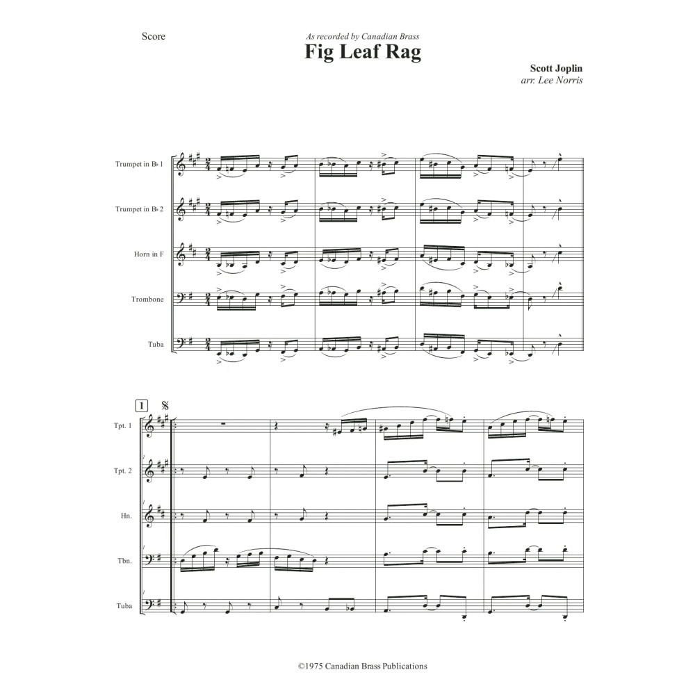 Fig Leaf Rag - Full Score