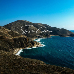 Stars In Catalina