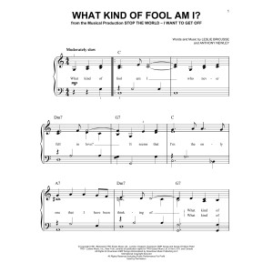 What Kind Of Fool Am I?