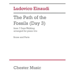 The Path of the Fossils (Day 3) - Cello