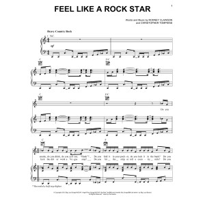 Feel Like A Rock Star