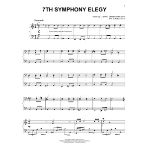 7th Symphony Elegy