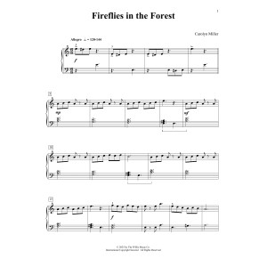 Fireflies In The Forest