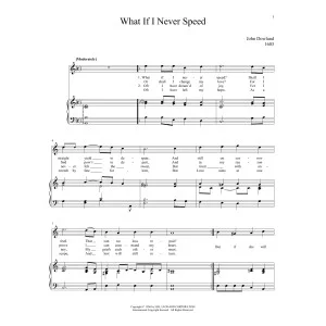 What If I Never Speed