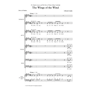 The Wings Of The Wind