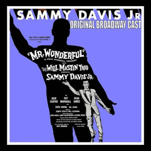 Mr. Wonderful