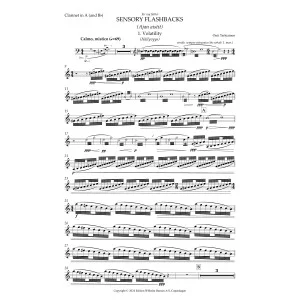 Sensory Flashbacks (Ajan aistit) (Clarinet Quintet No. 2) - Clarinet